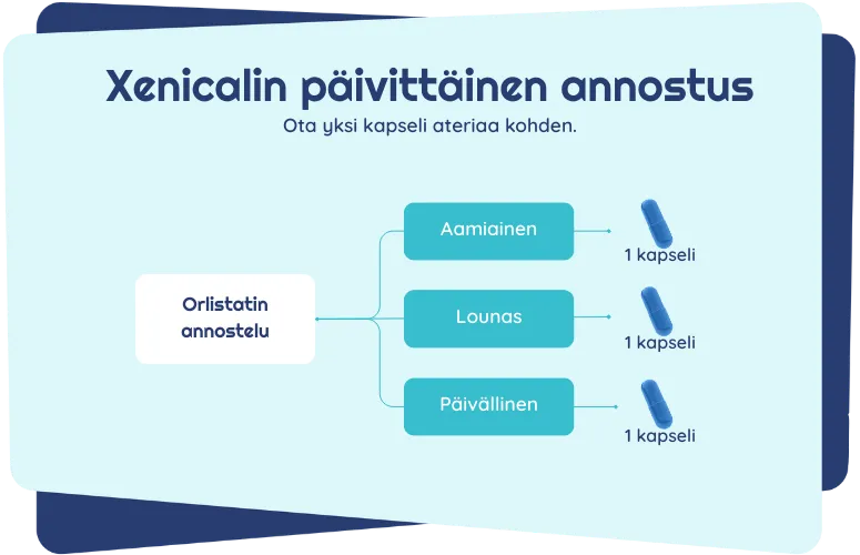 Xenicalin päivittäinen annostus